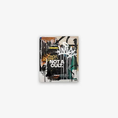 «NOT A CULT», Mischtechnik auf Leinwand, 2024, 60 × 70 × 4 cm